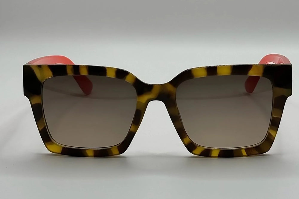 Vista frontal gafas de sol Anibal montura negra con patillas de madera natural.