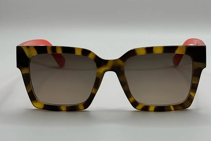 Vista frontal gafas de sol Anibal montura negra con patillas de madera natural.