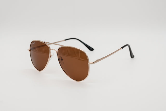 Vista frontal recta de las gafas de sol New York destacando el doble puente y lentes café.