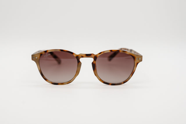 Vista en perspectiva gafas de sol Palermo estilo panto en carey claro mate.